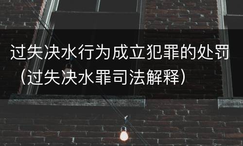 过失决水行为成立犯罪的处罚（过失决水罪司法解释）