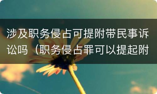 涉及职务侵占可提附带民事诉讼吗（职务侵占罪可以提起附带民事诉讼吗）