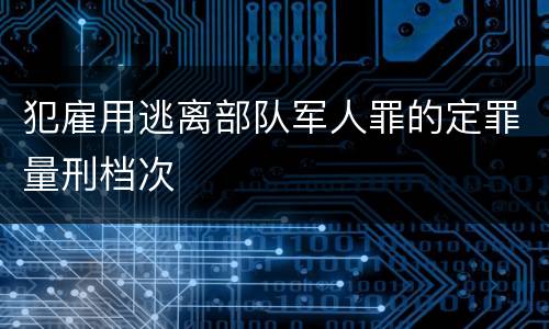 犯雇用逃离部队军人罪的定罪量刑档次
