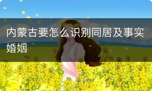 内蒙古要怎么识别同居及事实婚姻