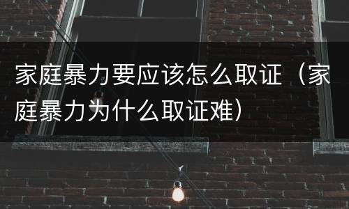 家庭暴力要应该怎么取证（家庭暴力为什么取证难）