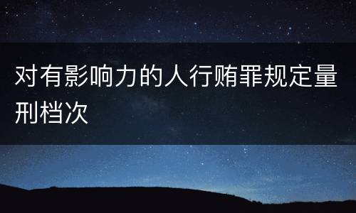 对有影响力的人行贿罪规定量刑档次