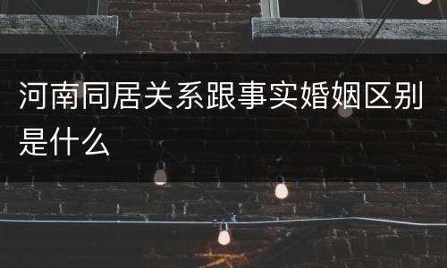 河南同居关系跟事实婚姻区别是什么