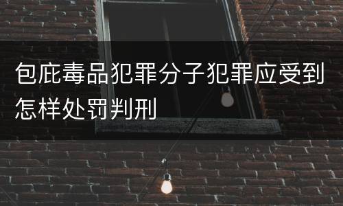 包庇毒品犯罪分子犯罪应受到怎样处罚判刑