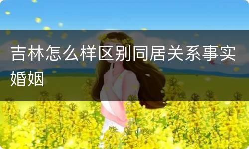吉林怎么样区别同居关系事实婚姻