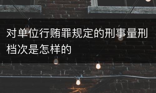 对单位行贿罪规定的刑事量刑档次是怎样的