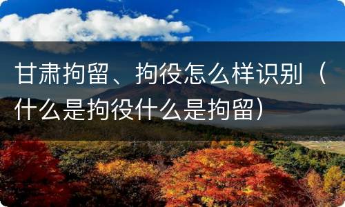 甘肃拘留、拘役怎么样识别（什么是拘役什么是拘留）