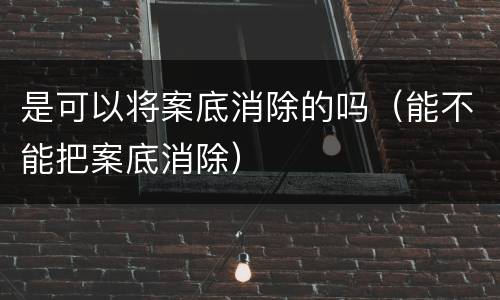是可以将案底消除的吗（能不能把案底消除）