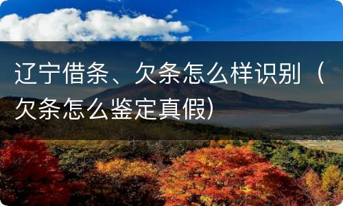 辽宁借条、欠条怎么样识别（欠条怎么鉴定真假）