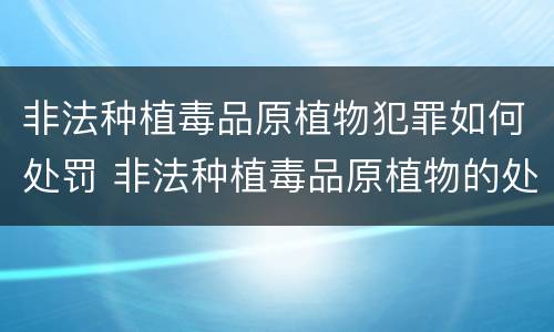 非法种植毒品原植物犯罪如何处罚 非法种植毒品原植物的处罚