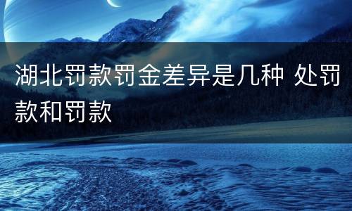 湖北罚款罚金差异是几种 处罚款和罚款