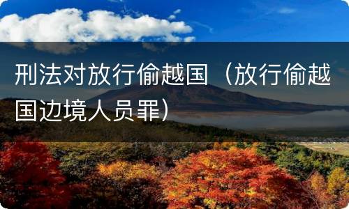 刑法对放行偷越国（放行偷越国边境人员罪）