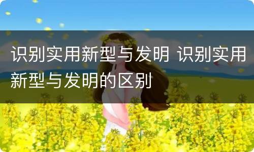 识别实用新型与发明 识别实用新型与发明的区别