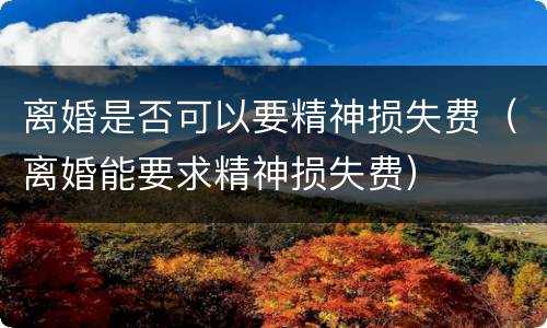 离婚是否可以要精神损失费（离婚能要求精神损失费）