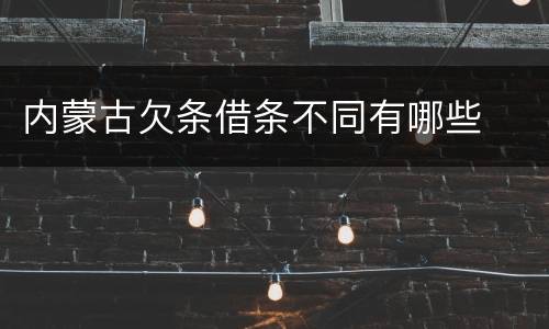 内蒙古欠条借条不同有哪些