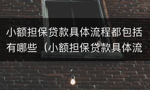 小额担保贷款具体流程都包括有哪些（小额担保贷款具体流程都包括有哪些内容）