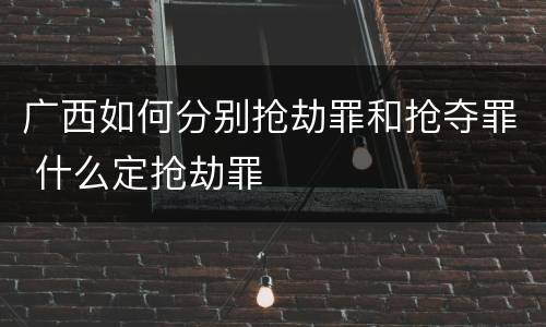 广西如何分别抢劫罪和抢夺罪 什么定抢劫罪