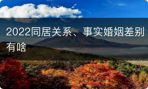 2022同居关系、事实婚姻差别有啥