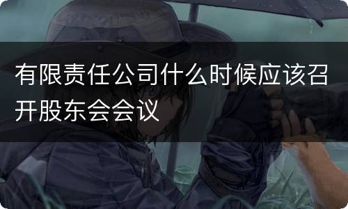 有限责任公司什么时候应该召开股东会会议