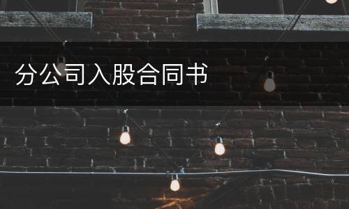 分公司入股合同书
