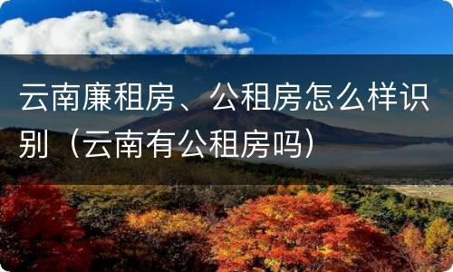 云南廉租房、公租房怎么样识别（云南有公租房吗）