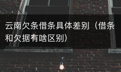 云南欠条借条具体差别（借条和欠据有啥区别）