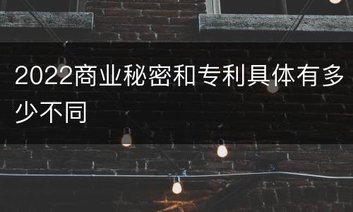 2022商业秘密和专利具体有多少不同