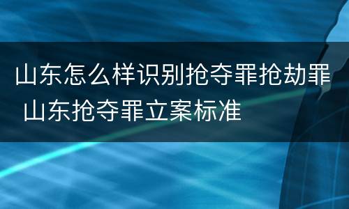 山东怎么样识别抢夺罪抢劫罪 山东抢夺罪立案标准