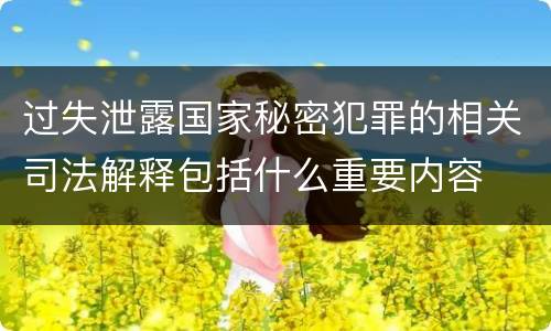 过失泄露国家秘密犯罪的相关司法解释包括什么重要内容