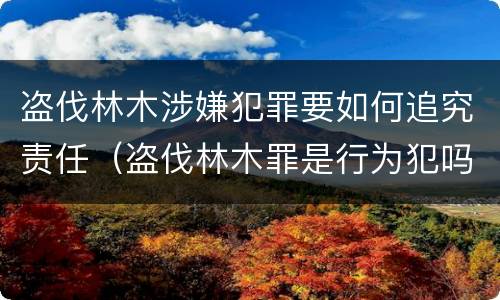 盗伐林木涉嫌犯罪要如何追究责任（盗伐林木罪是行为犯吗）