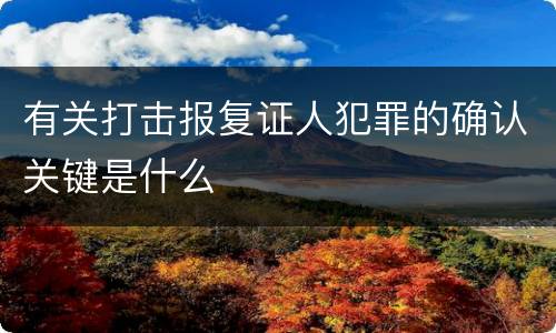 有关打击报复证人犯罪的确认关键是什么