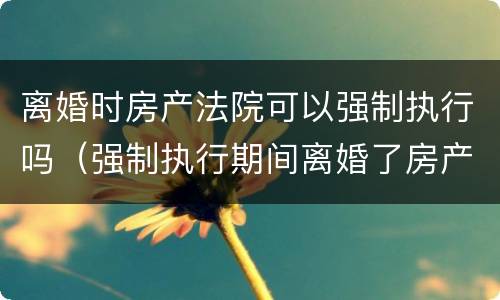 离婚时房产法院可以强制执行吗（强制执行期间离婚了房产能执行吗）