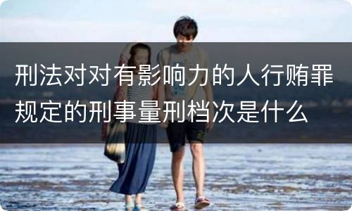 刑法对对有影响力的人行贿罪规定的刑事量刑档次是什么