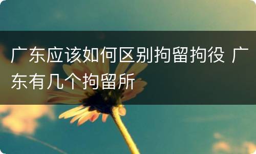 广东应该如何区别拘留拘役 广东有几个拘留所