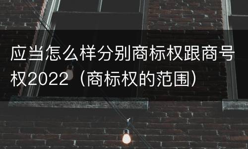 应当怎么样分别商标权跟商号权2022（商标权的范围）