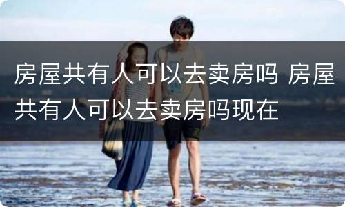 房屋共有人可以去卖房吗 房屋共有人可以去卖房吗现在