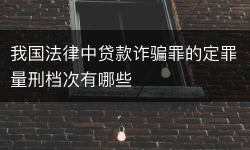 我国法律中贷款诈骗罪的定罪量刑档次有哪些
