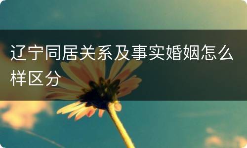 辽宁同居关系及事实婚姻怎么样区分