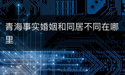 青海事实婚姻和同居不同在哪里