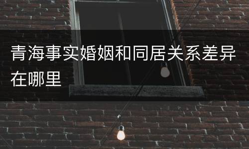 青海事实婚姻和同居关系差异在哪里