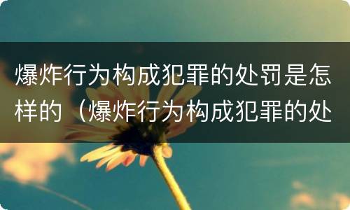 爆炸行为构成犯罪的处罚是怎样的（爆炸行为构成犯罪的处罚是怎样的法律）