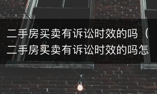 二手房买卖有诉讼时效的吗（二手房买卖有诉讼时效的吗怎么办）