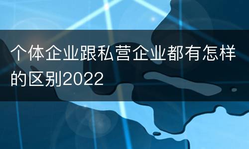 个体企业跟私营企业都有怎样的区别2022