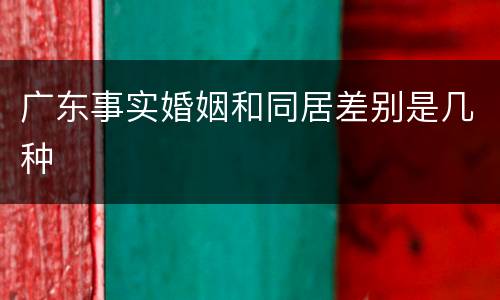 广东事实婚姻和同居差别是几种