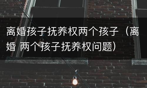 离婚孩子抚养权两个孩子（离婚 两个孩子抚养权问题）