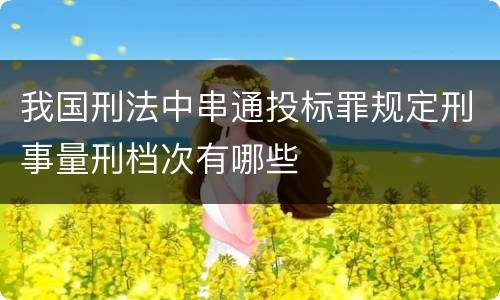 我国刑法中串通投标罪规定刑事量刑档次有哪些