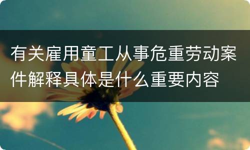 有关雇用童工从事危重劳动案件解释具体是什么重要内容