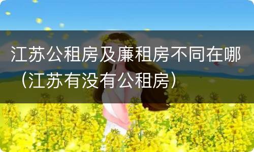 江苏公租房及廉租房不同在哪（江苏有没有公租房）