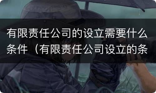 有限责任公司的设立需要什么条件（有限责任公司设立的条件?）
