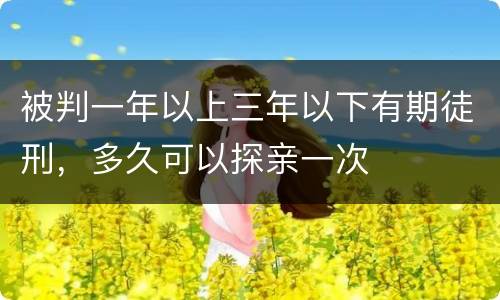 被判一年以上三年以下有期徒刑，多久可以探亲一次